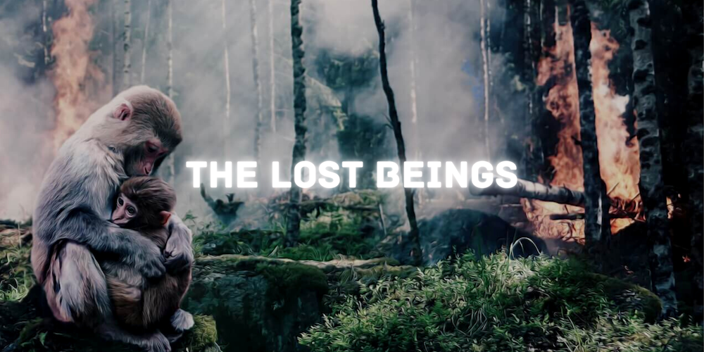The Lost Beings banner